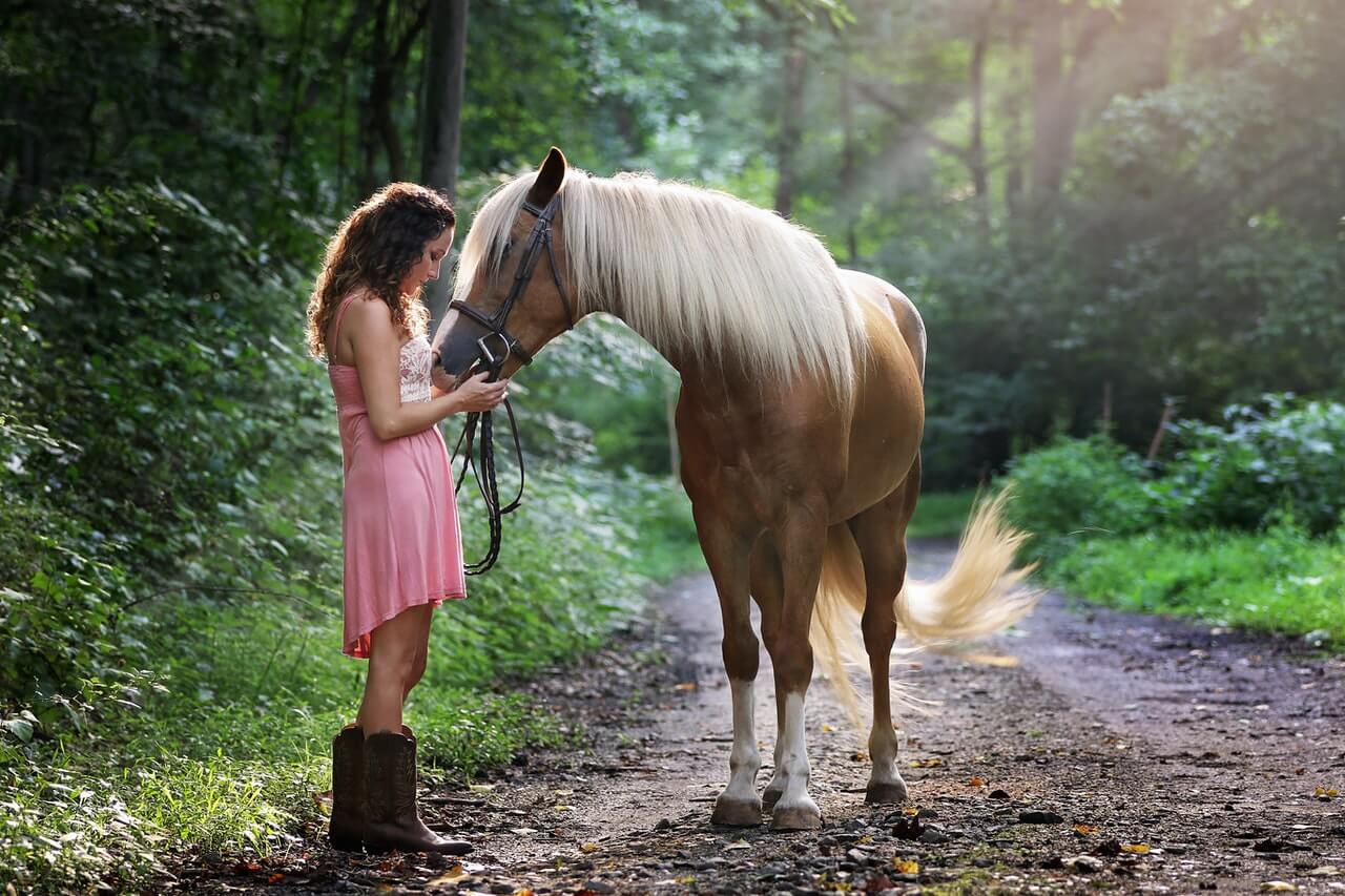 Are mane and tail products good for your hair
