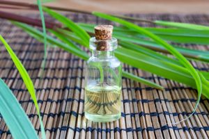 10 Surprising Benefits and Uses of Citronella Essential Oil