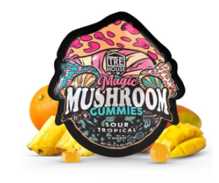 Why Mushroom Gummies Are Best For Your Weekend Getaway