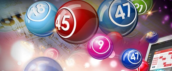 Legal Aspects of Togel: What You Need to Know